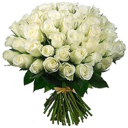 Букет из 51 белой розы