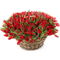 Корзина красных тюльпанов №2